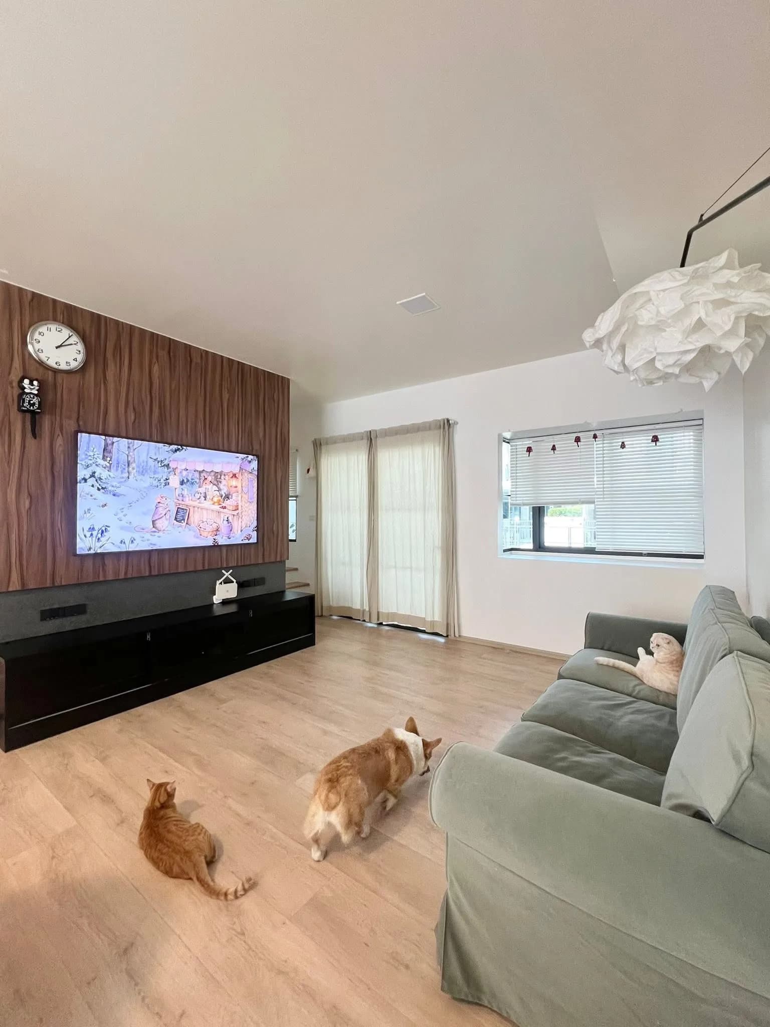 Villaggio 3 Srinakarin-Bangna รูปที่ 1