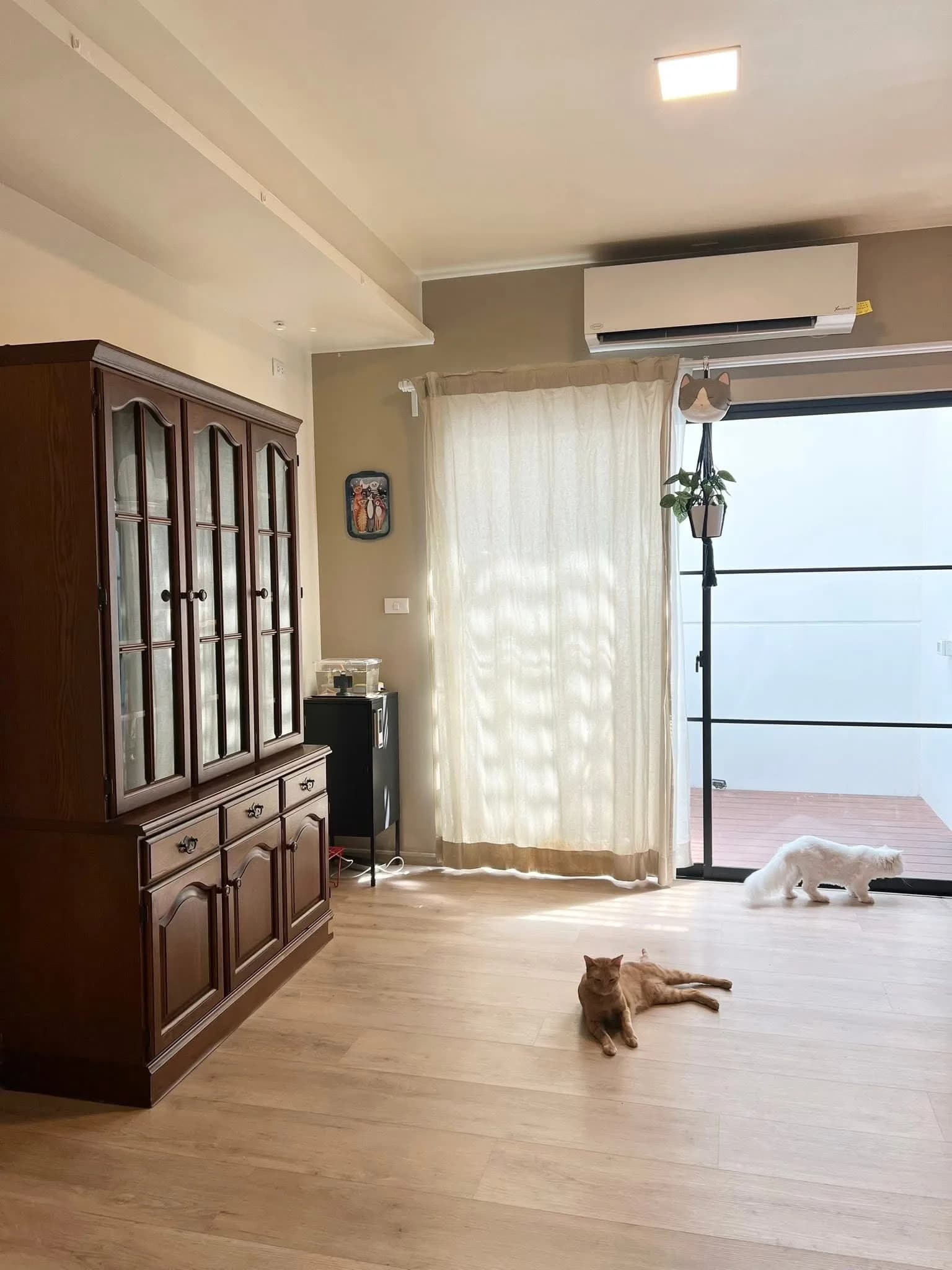 Villaggio 3 Srinakarin-Bangna รูปที่ 4