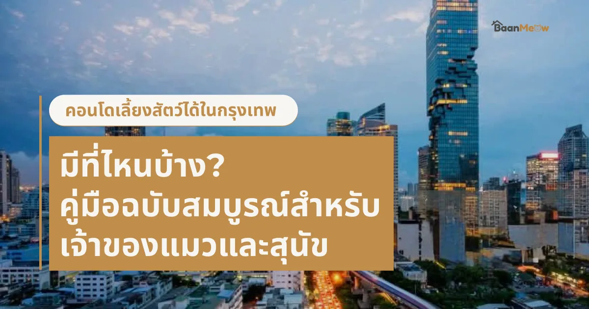 คอนโดเลี้ยงสัตว์ได้ในกรุงเทพ มีที่ไหนบ้าง? คู่มือฉบับสมบูรณ์สำหรับเจ้าของแมวและสุนัข