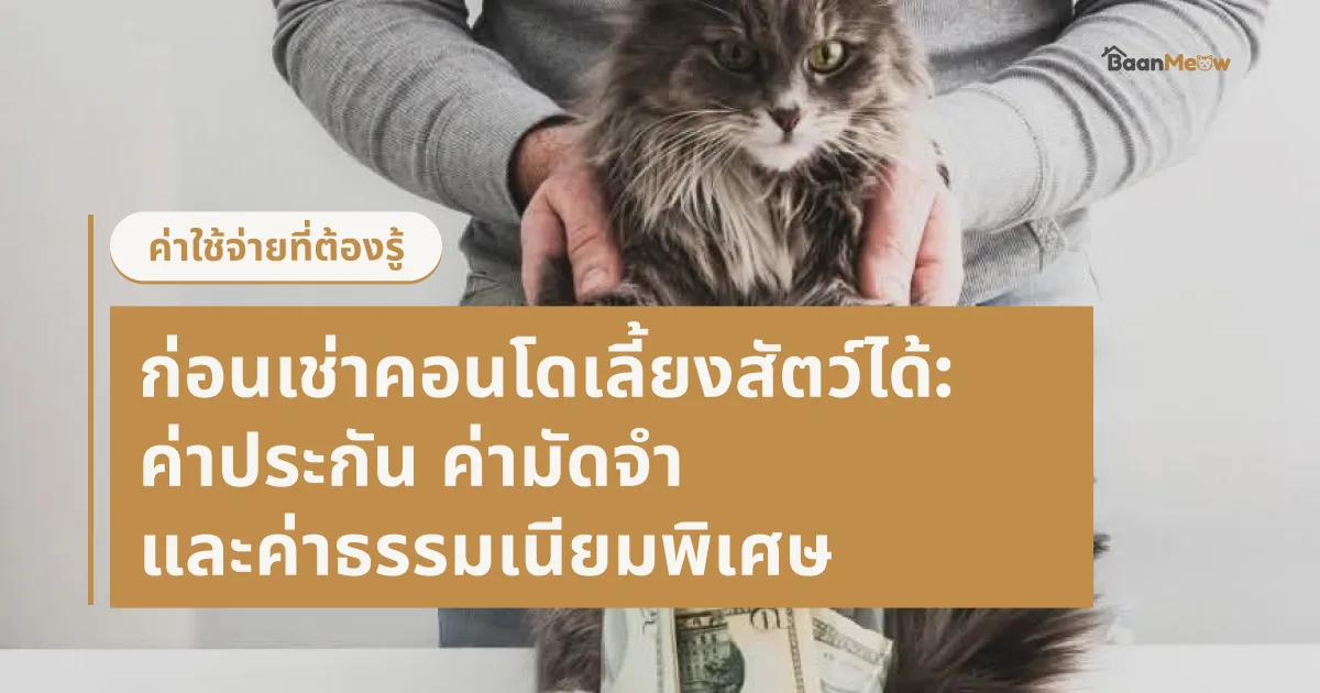 ค่าใช้จ่ายที่ต้องรู้ก่อนเช่าคอนโดเลี้ยงสัตว์ได้: ค่าประกัน ค่ามัดจำ และค่าธรรมเนียมพิเศษ